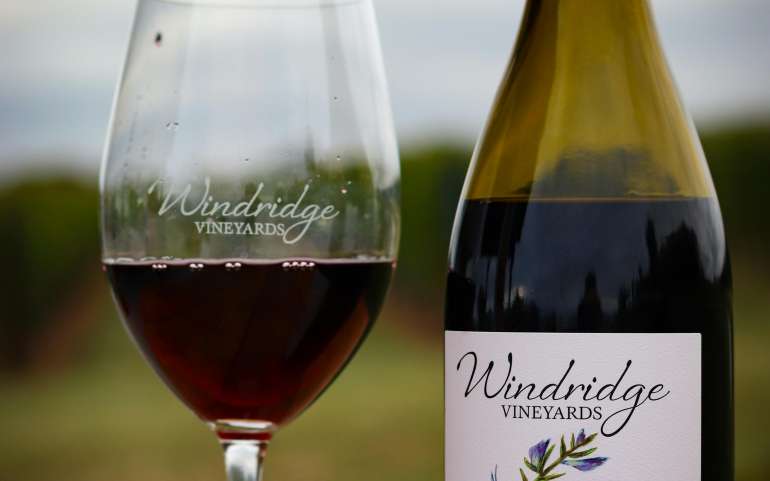 How Wine Is Made: Step-by-Step Explanation