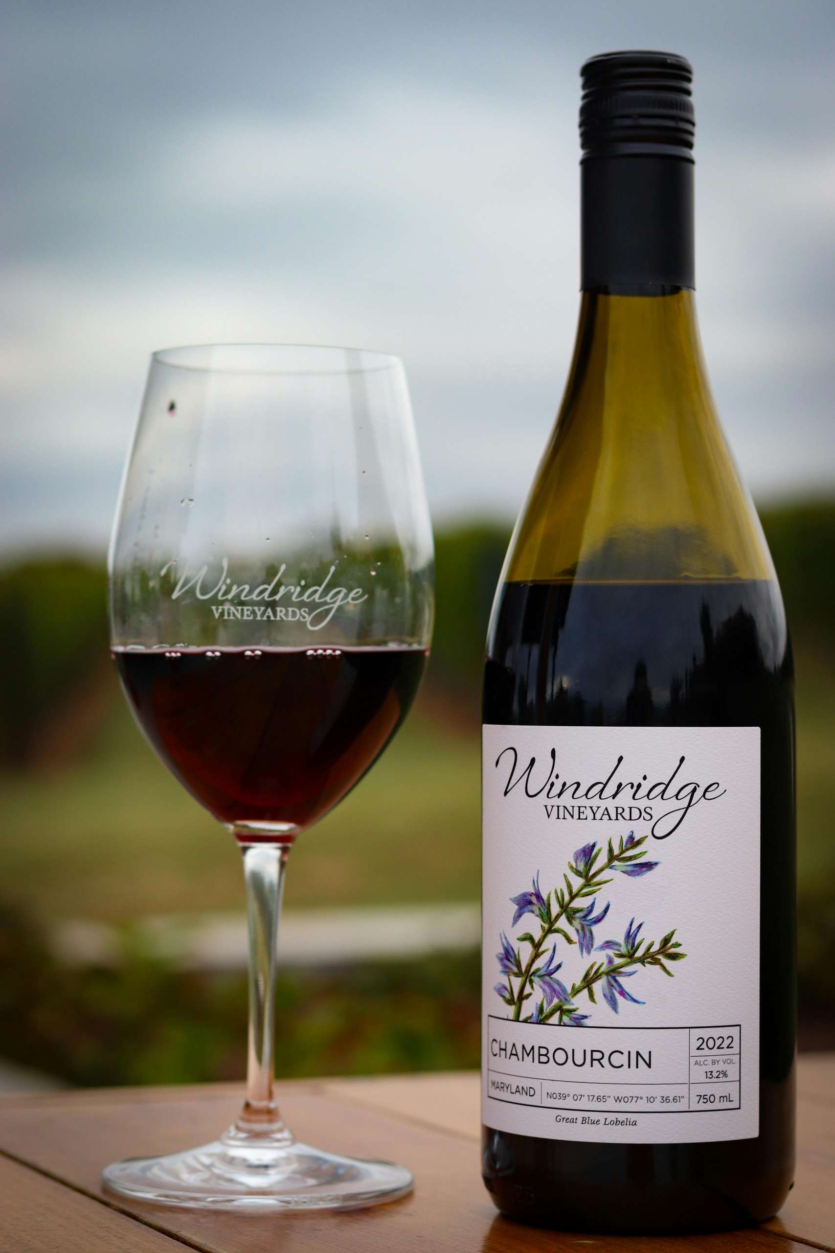 How Wine Is Made: Step-by-Step Explanation