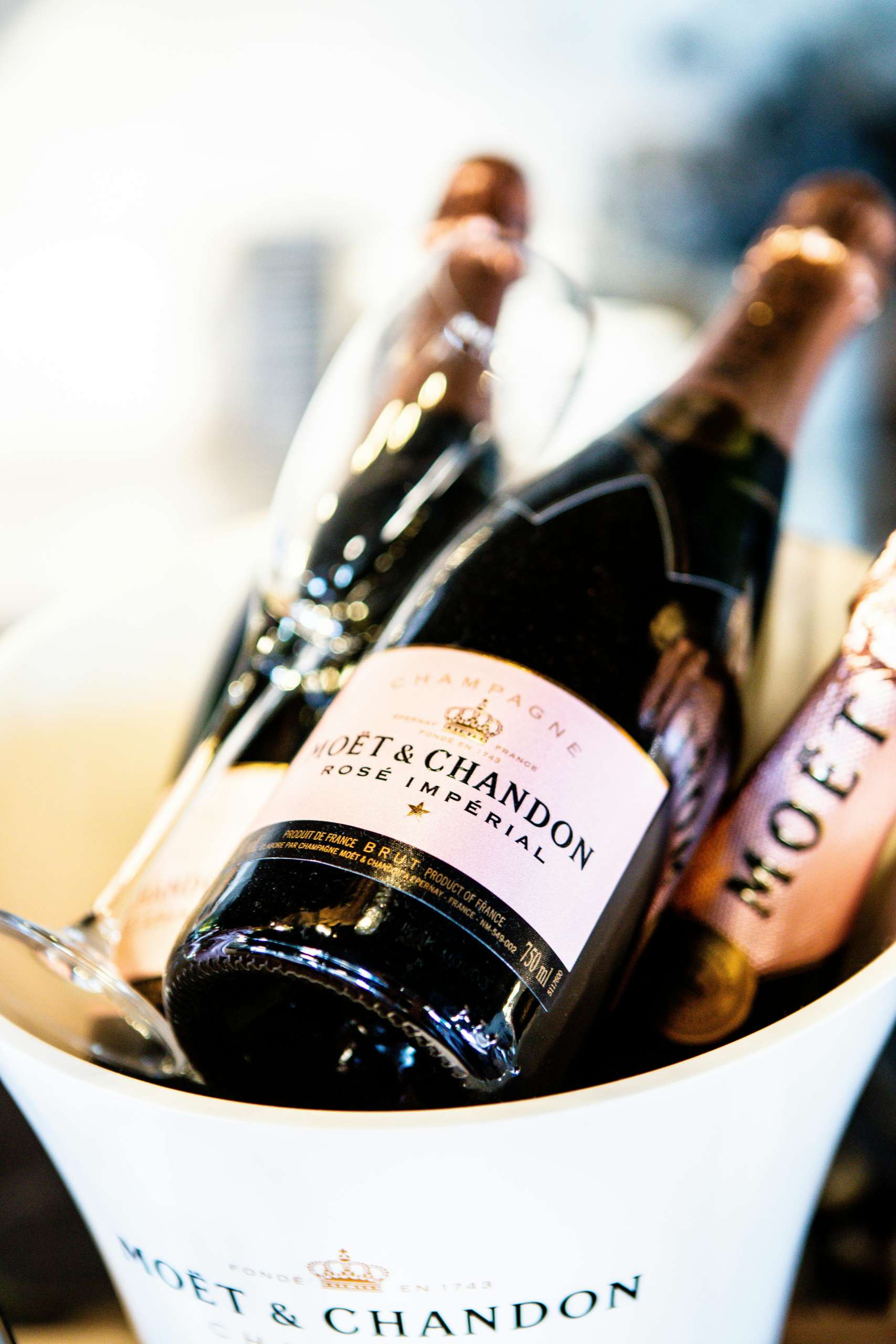 Simple Wine and Food Pairing Tips for Beginners