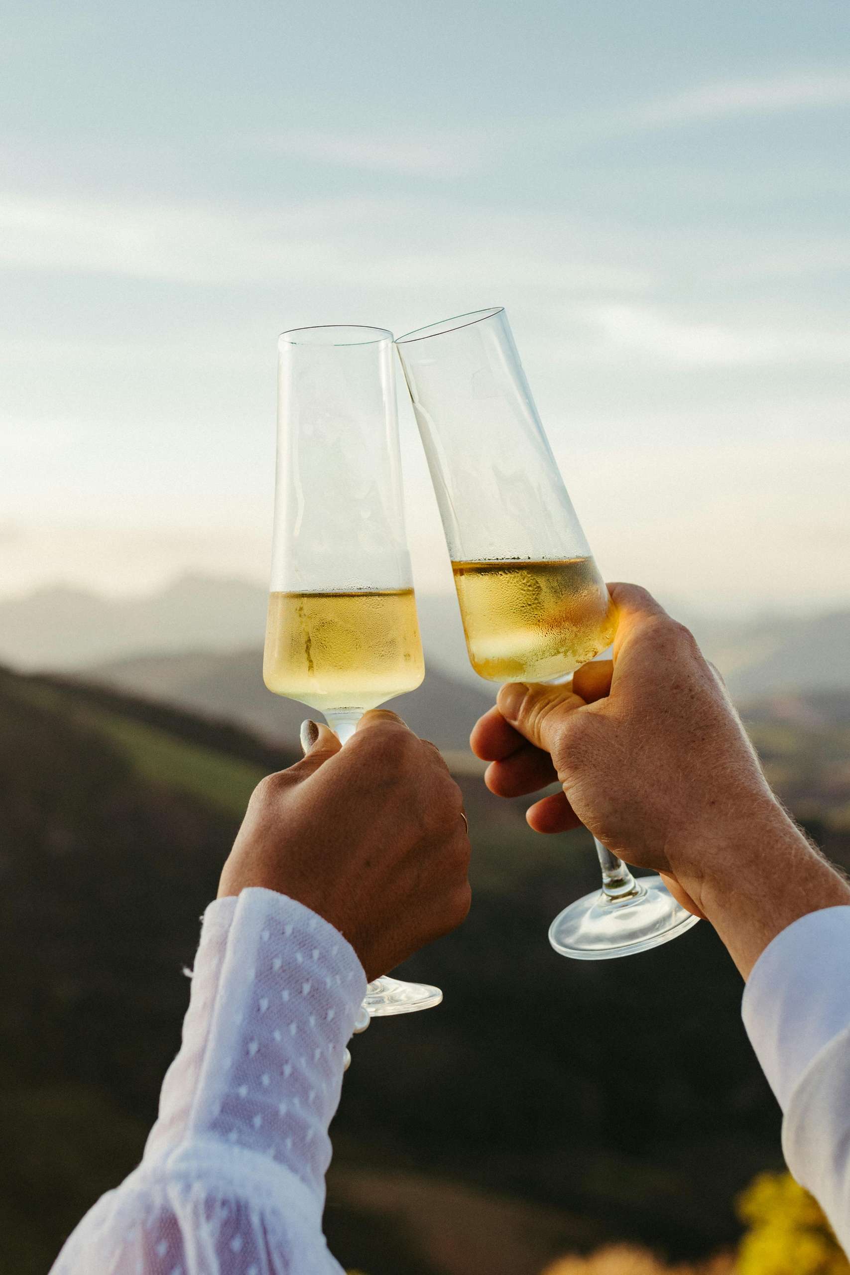 How Flavor Profiles Affect Wine and Food Pairing