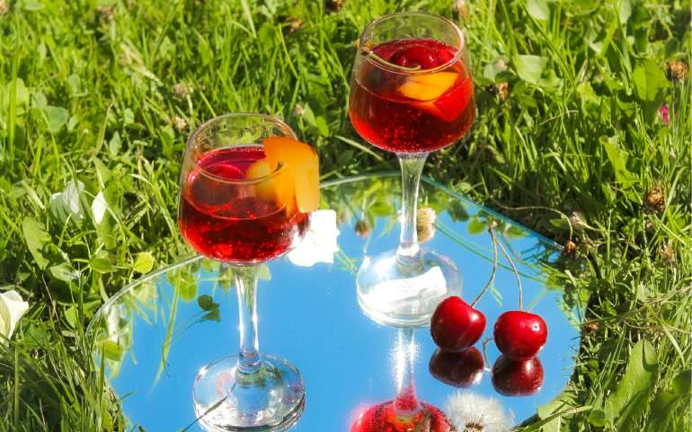 A Guide to French Wines for Beginners