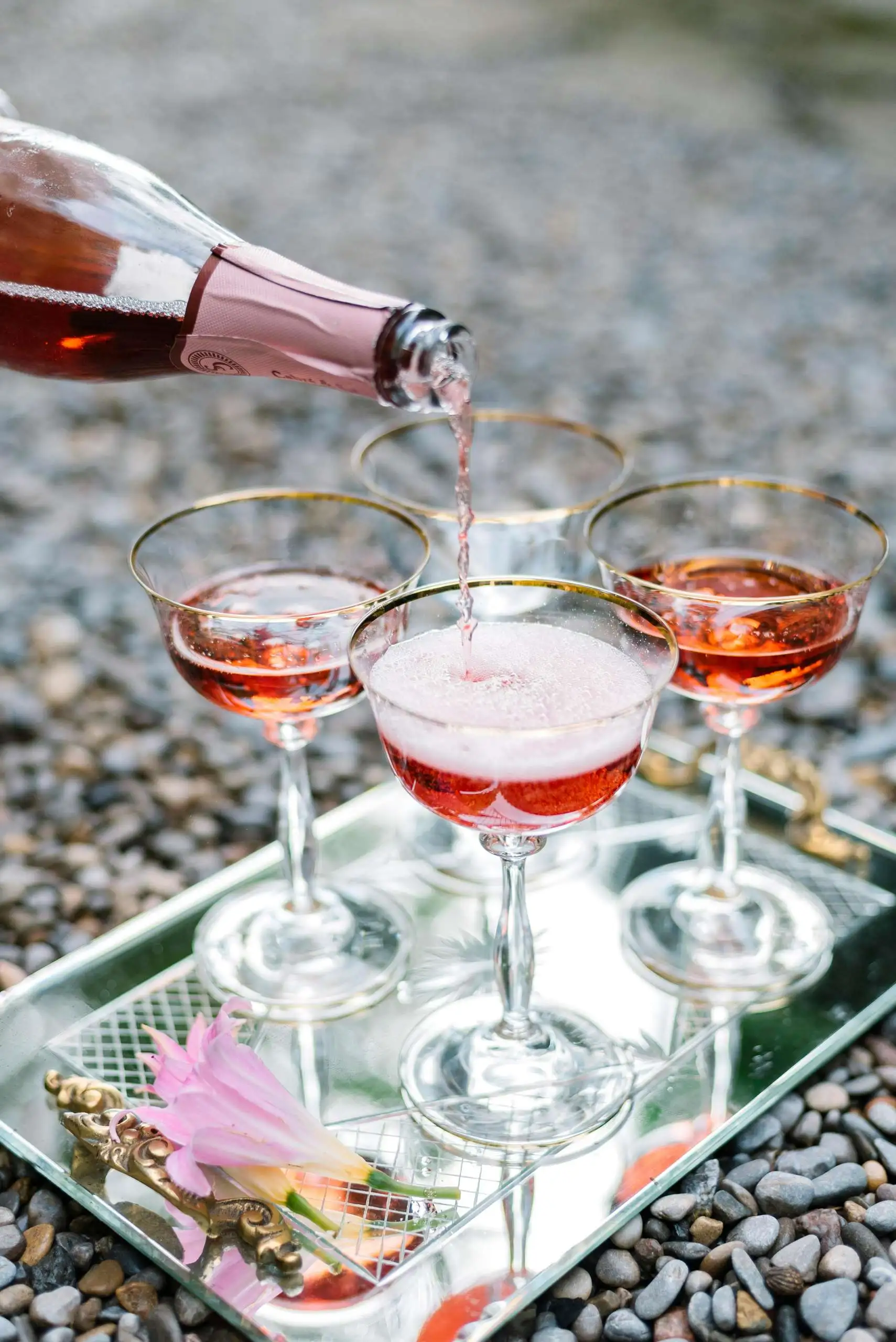 Top New World Wine Regions to Know About