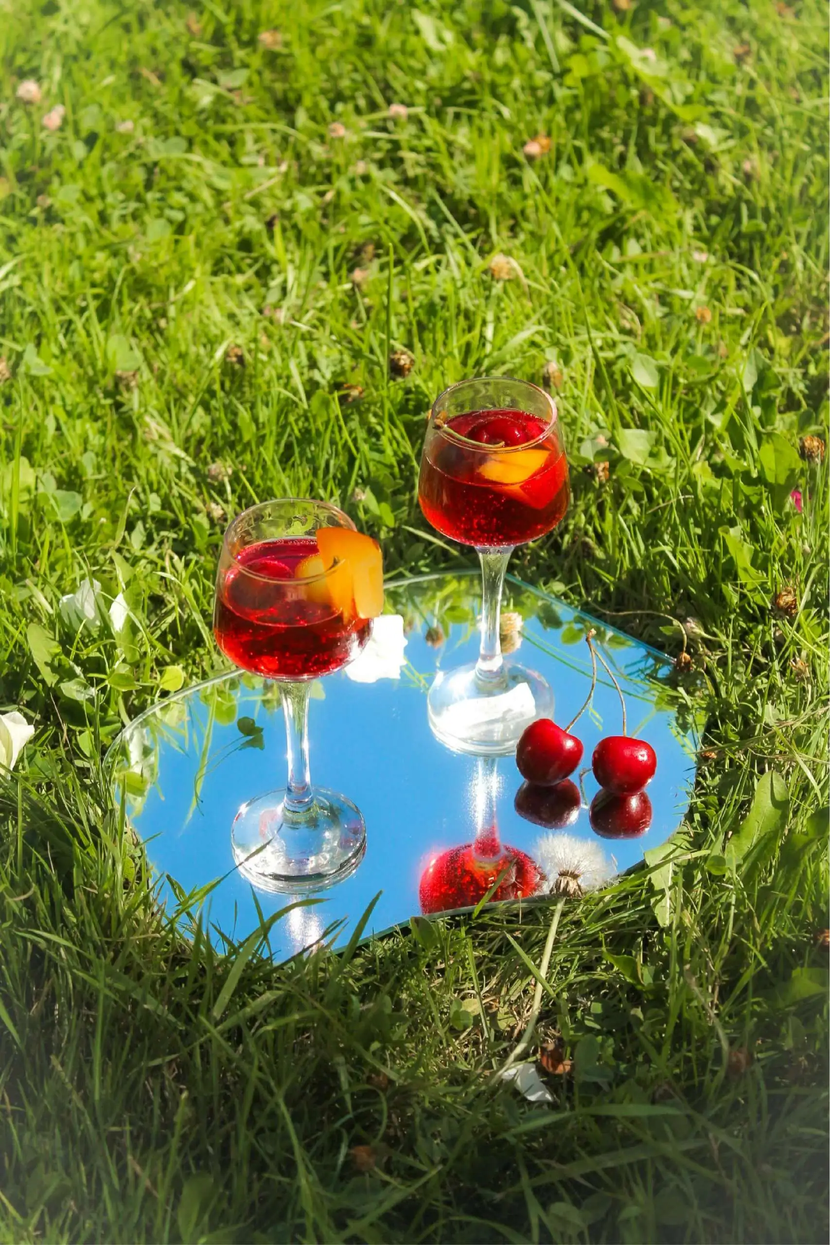 A Guide to French Wines for Beginners